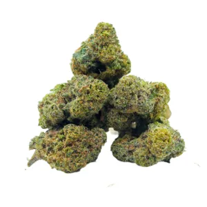 Green Poison Mini Buds Indoor