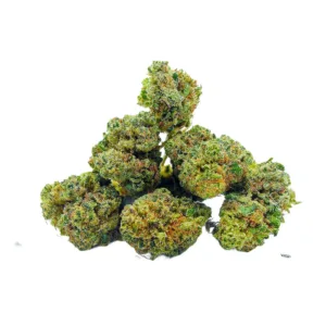 Plutonium Mini buds