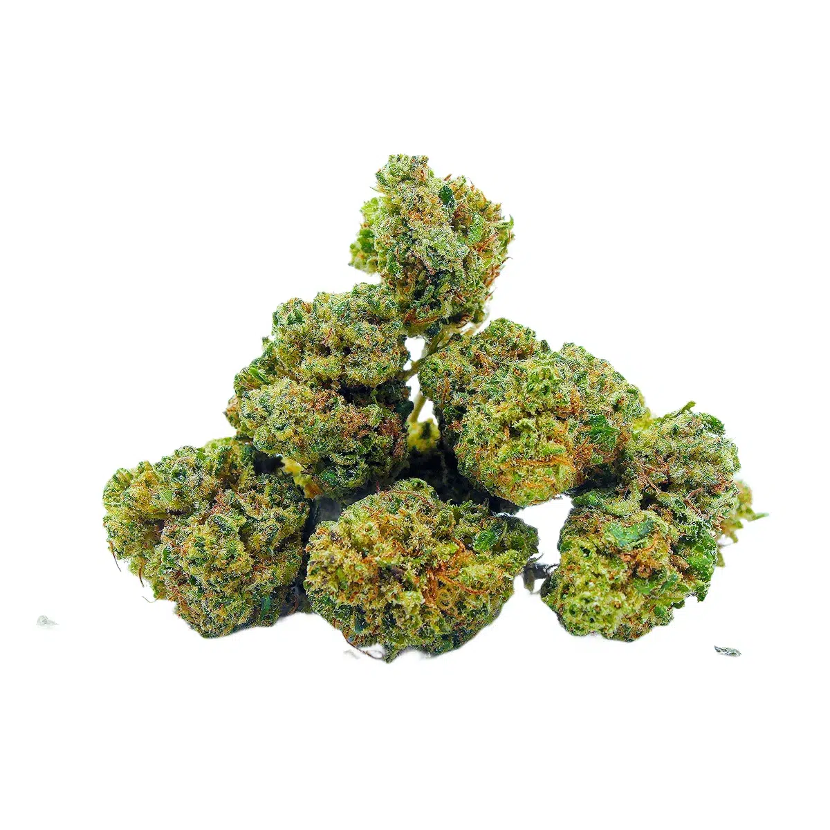 Plutonium Mini buds (Break 2026)_8973 copie