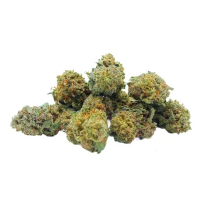 Space Candy Mini Buds Indoor