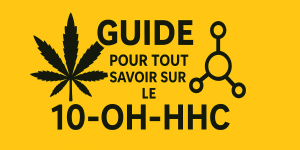 380a6ed3-4867-47fe-88fd-f5977cfef219